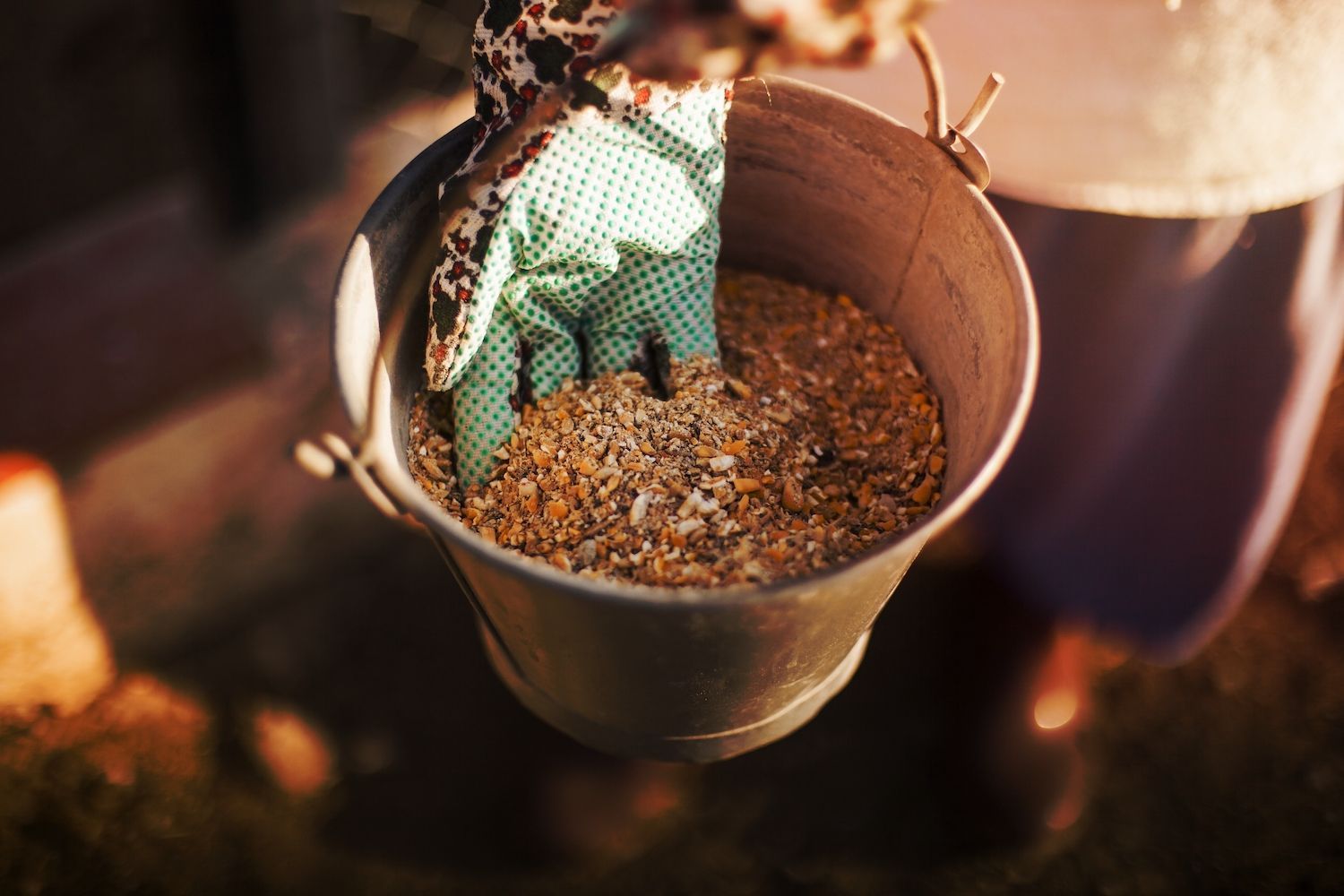 How to Ferment Your Own Chicken Feed