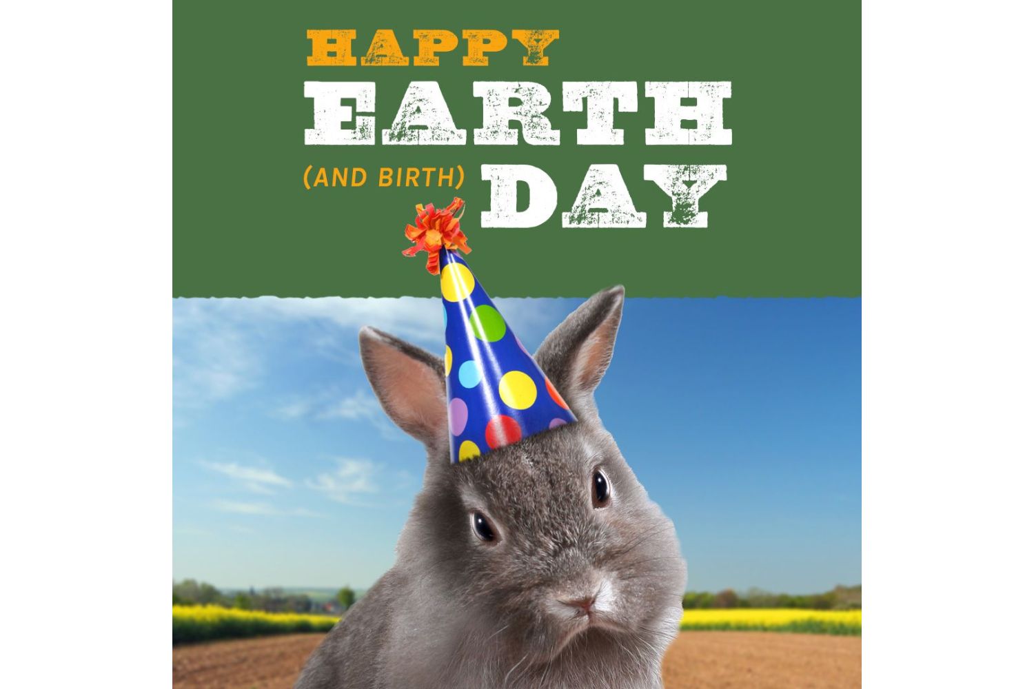 Happy Birthday NCO and Happy Earth Day!