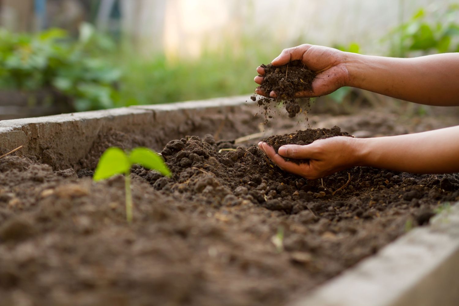 Compost Essentials: Top Benefits & How to Use It
