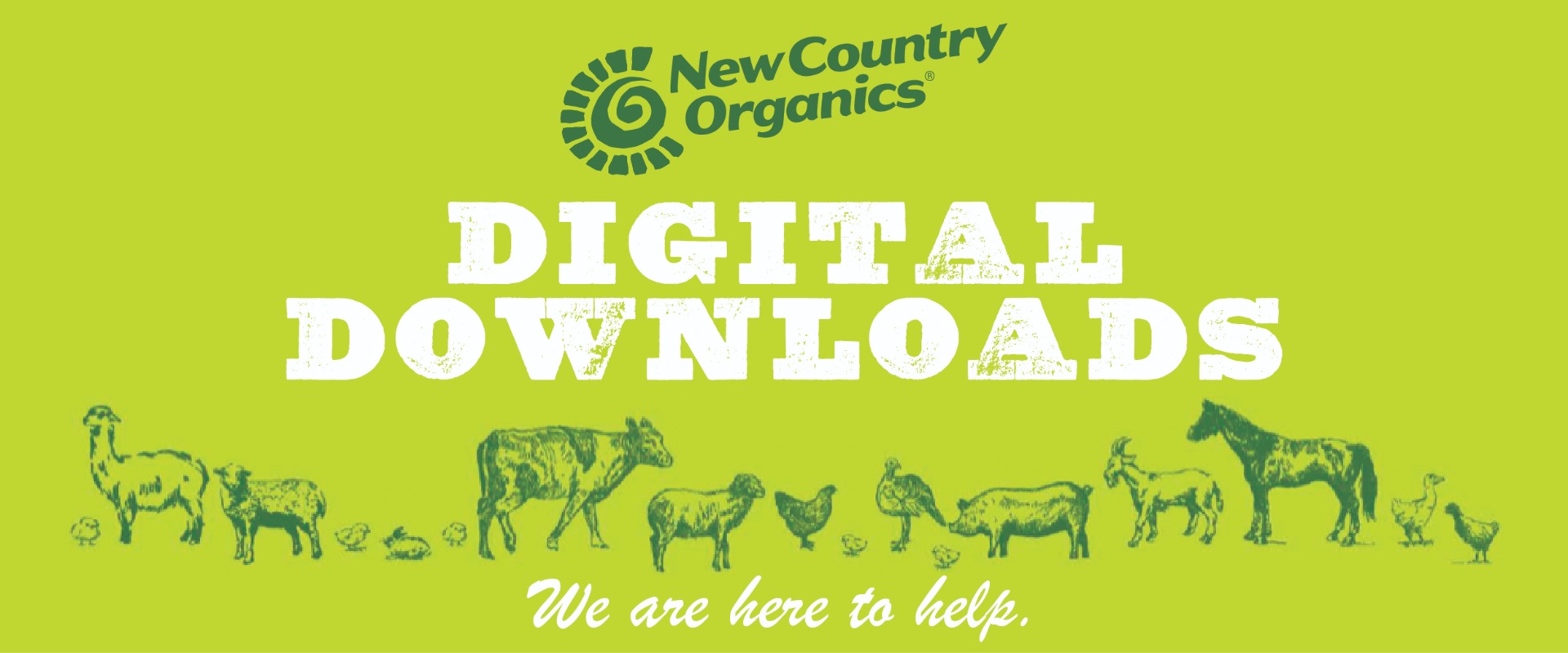 green_packaging_store_banner