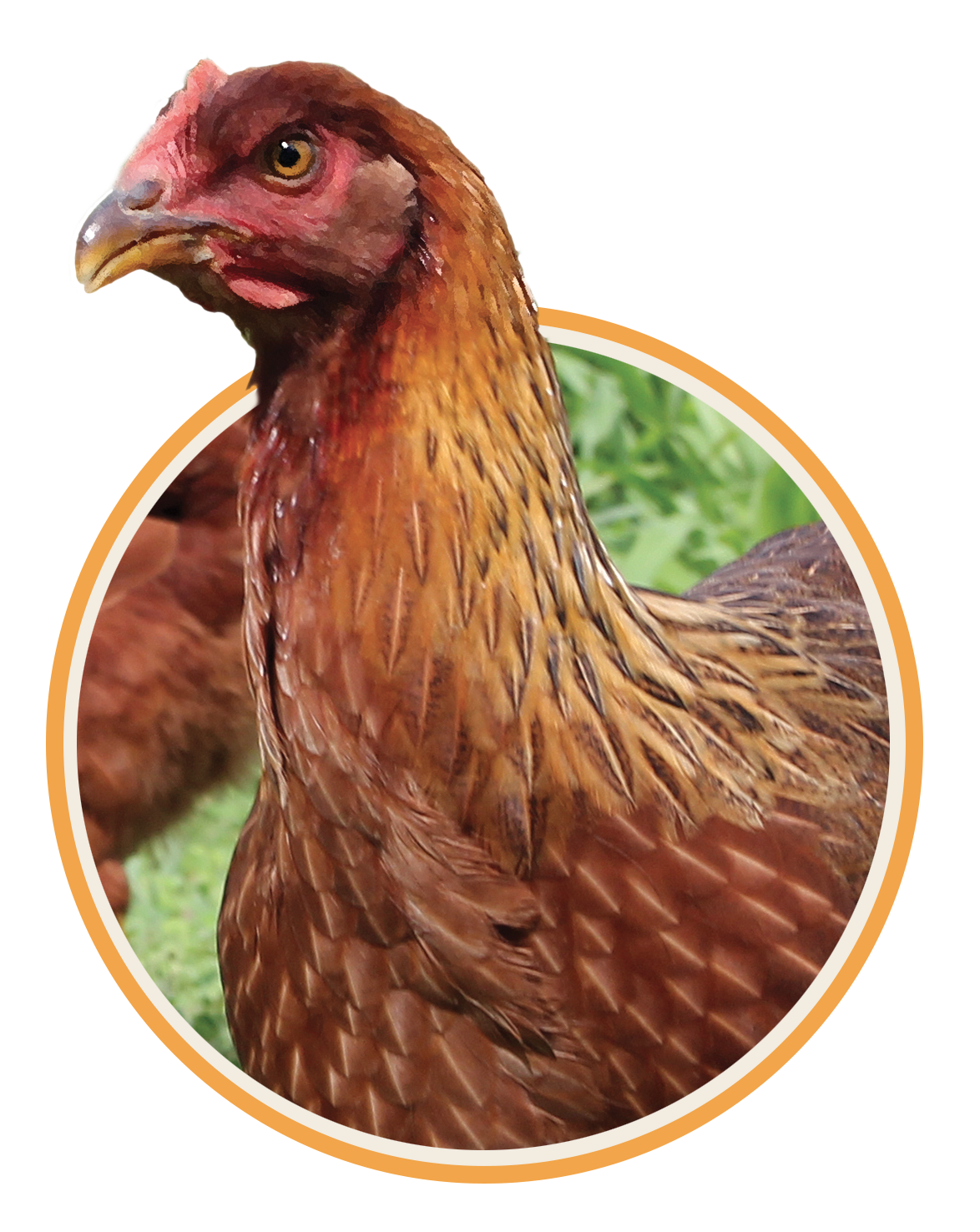 Squawk Box Squawk Box