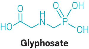 What You Need To Know About Glyphosate